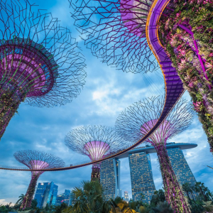 Everything that Singapore has to offer for students who want to study abroad